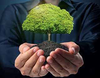 Healthy dark soil with cover crops